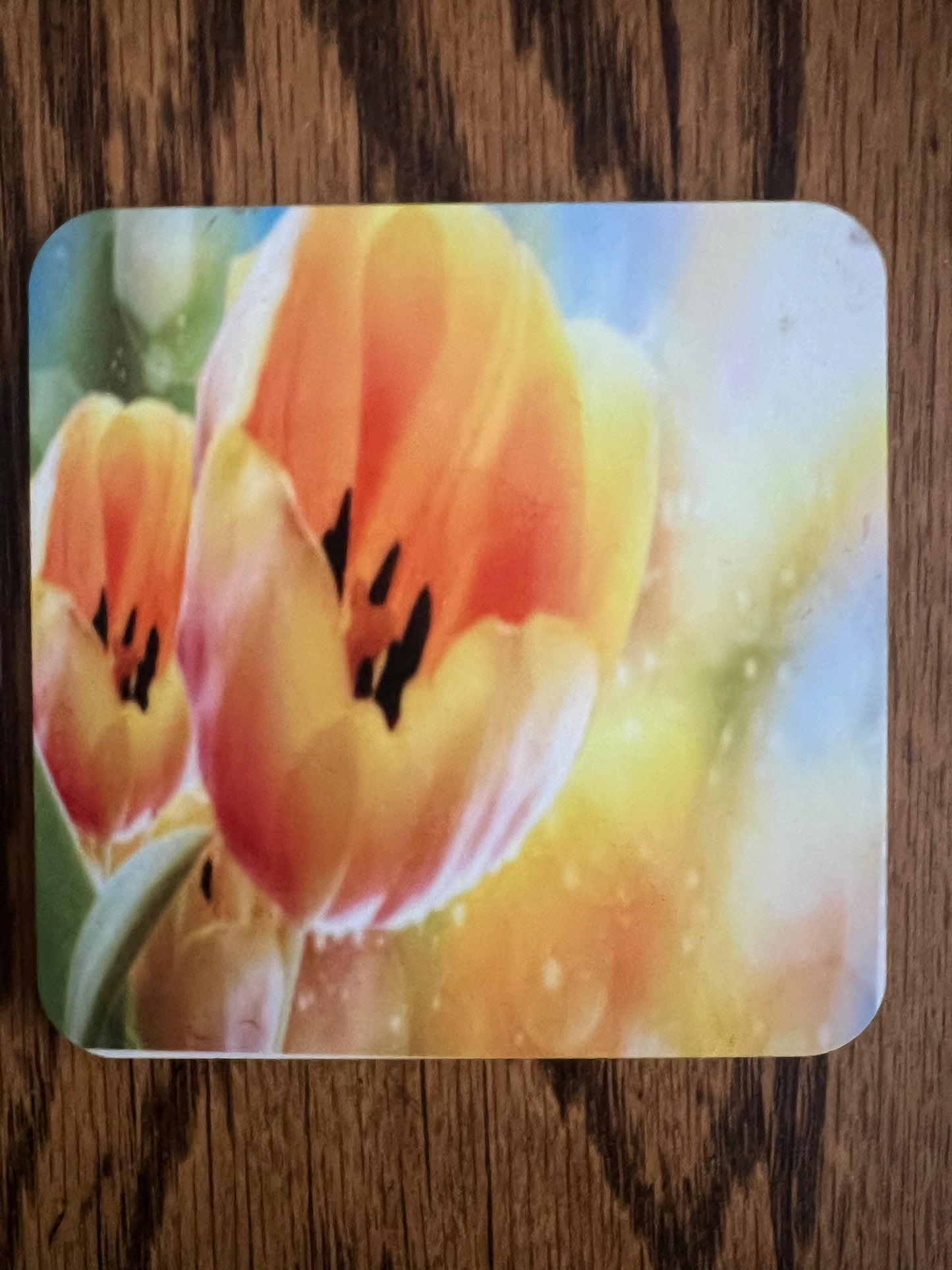 Coasters with stand - Square w/Cork Bottom