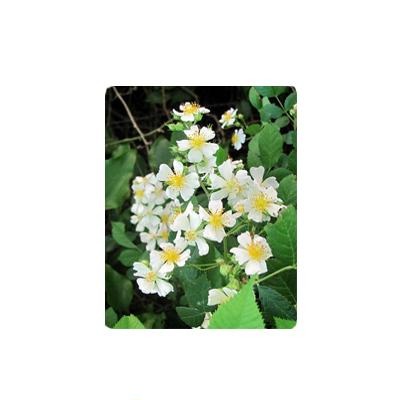 Photo Panel - Aluminum - 5" x 7"