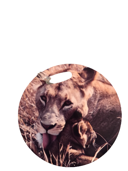 Bag Tag - Luggage Tag - 3.5" - Round 2 sided