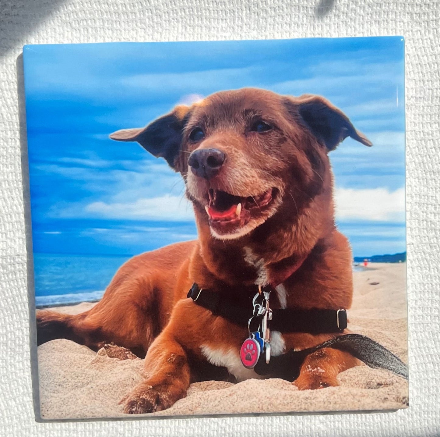 Pet Memorial Keepsake on a Ceramic Tile