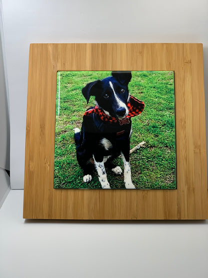 Pet Memorial Keepsake on a Ceramic Tile