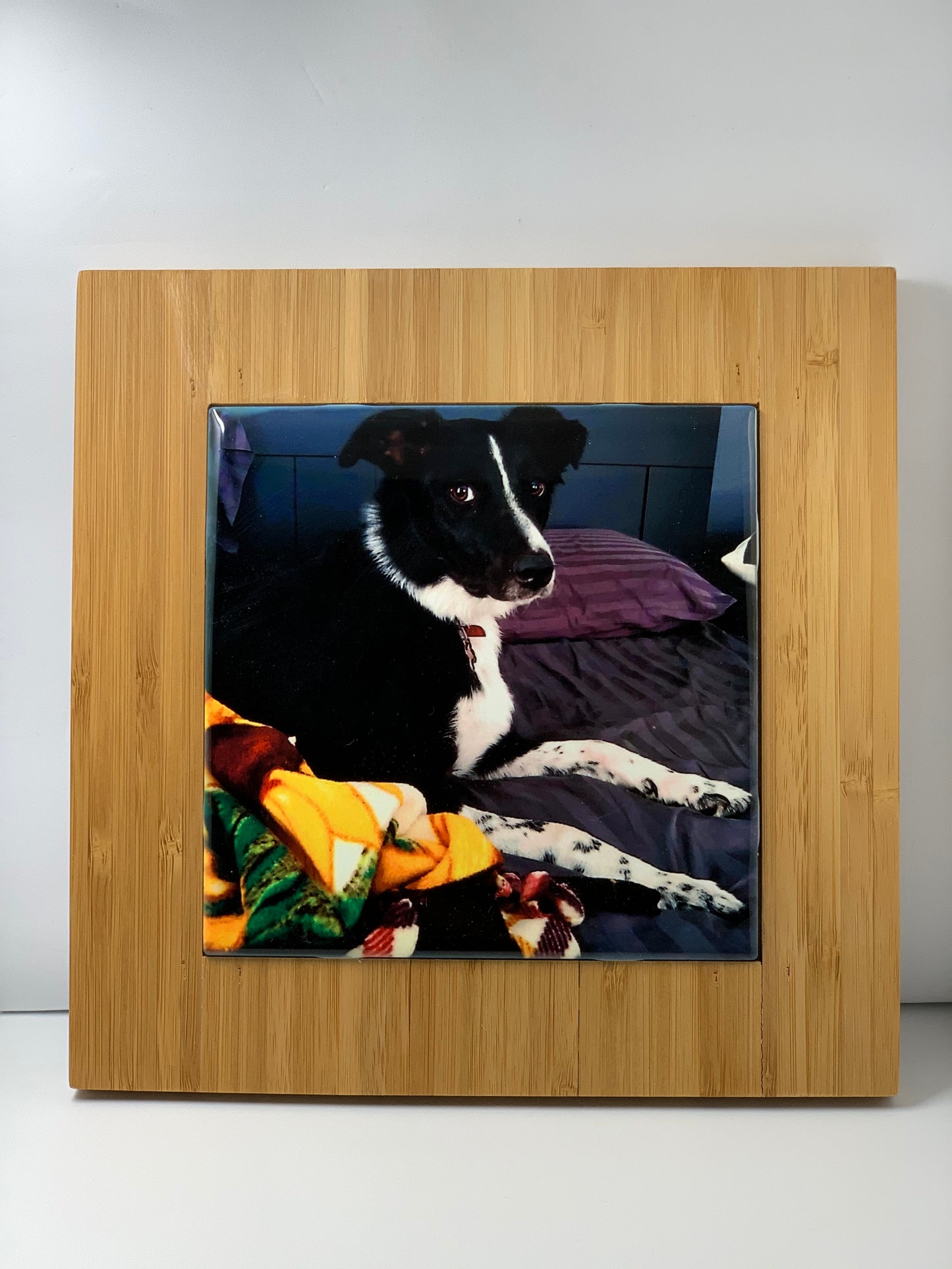 Pet Memorial Keepsake on a Ceramic Tile